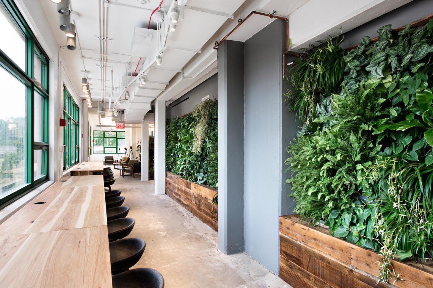 Understanding Interior Landscaping: Enhancing Indoor Spaces