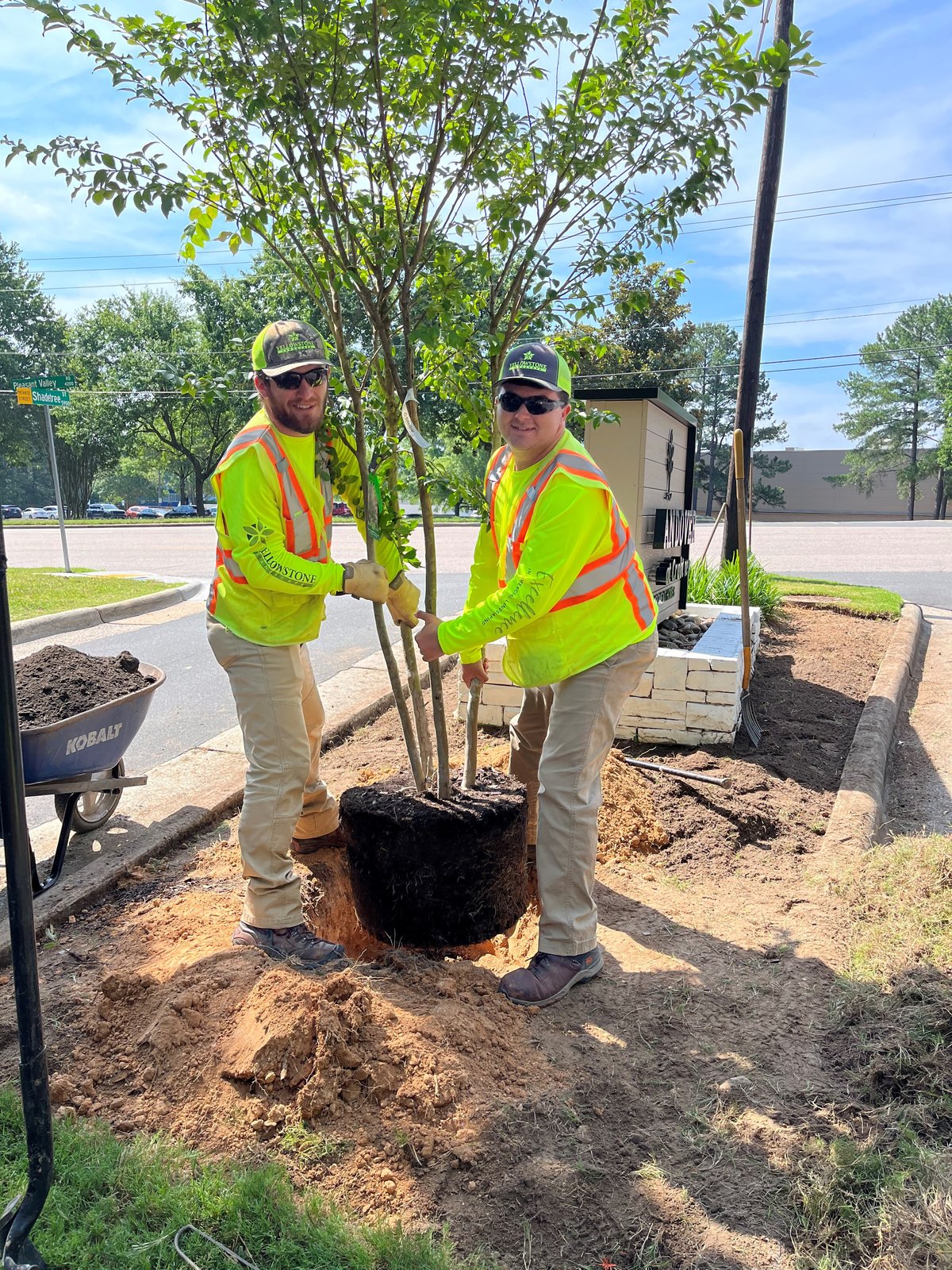Commercial Tree installation at Sports Field
