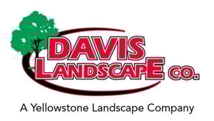 Davis-YL Logo
