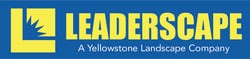 Leaderscape Logo