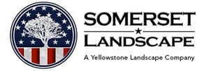 New Somerset Logo-Medium-YL-tag
