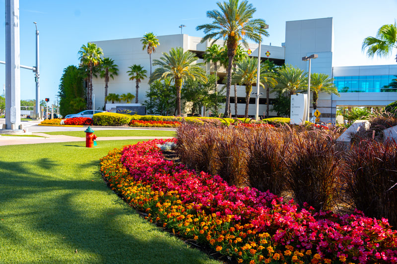 Colorful-Flowers-Entrance