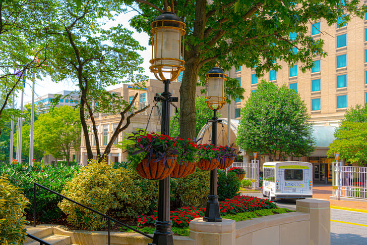 Image of large lamps and pink flowers in hanging baskets