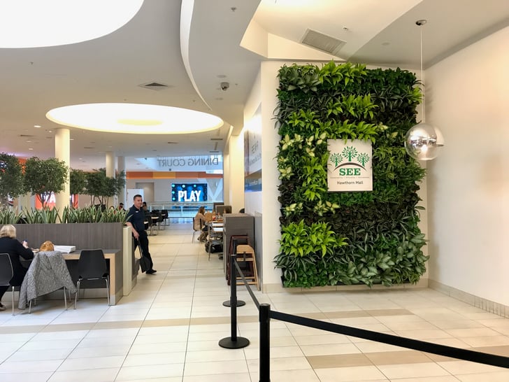 Greenery wall 
