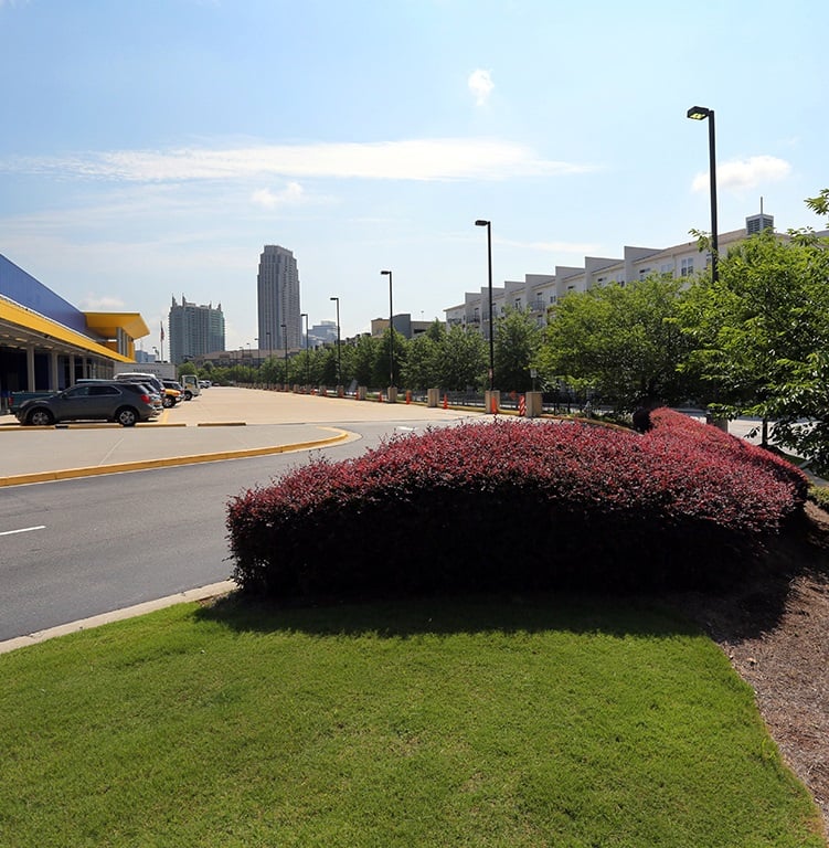 commercial property parking lot with shrubs and trees