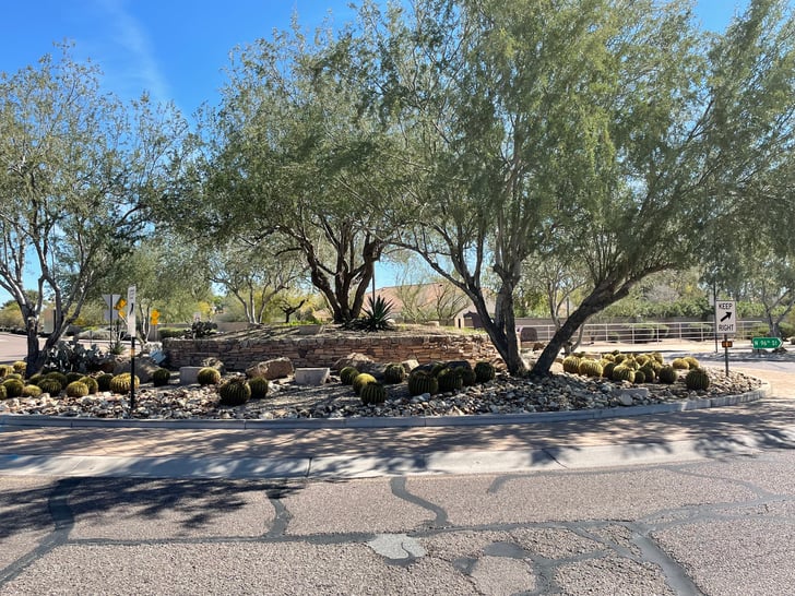 Rock Design Surrounding Tree 