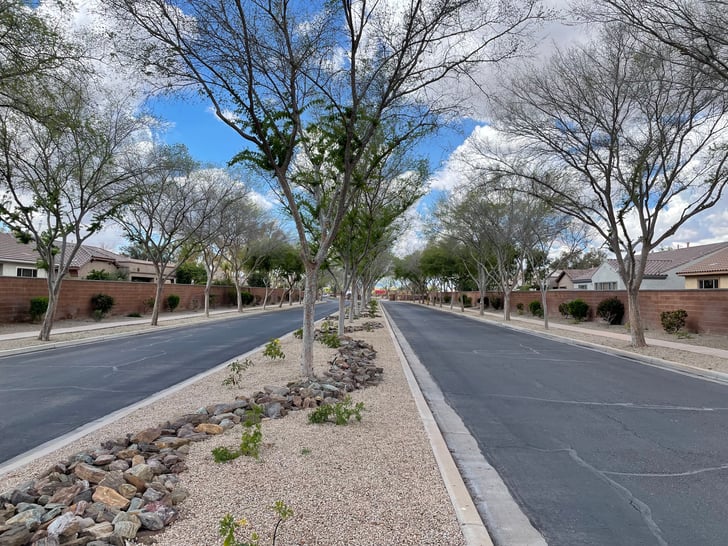 Rock Design Along roadway Xeriscaping