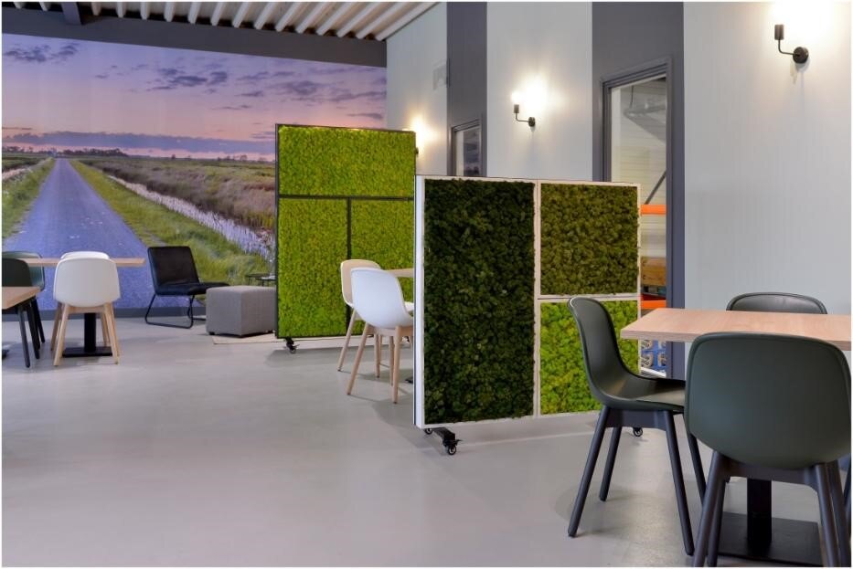 Understanding Interior Landscaping: Enhancing Indoor Spaces