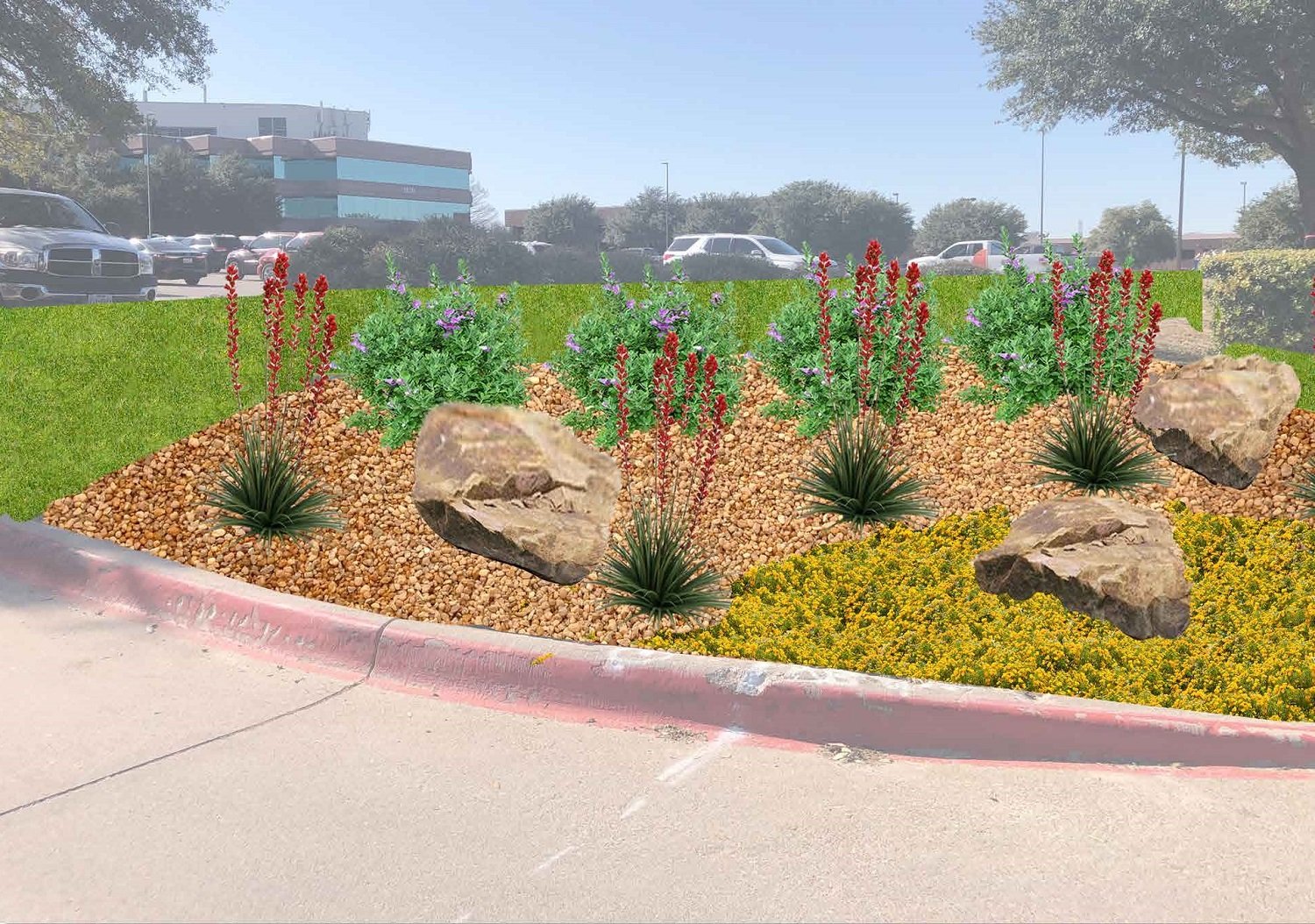 drought tolerant plants on commercial property landscape in Dallas