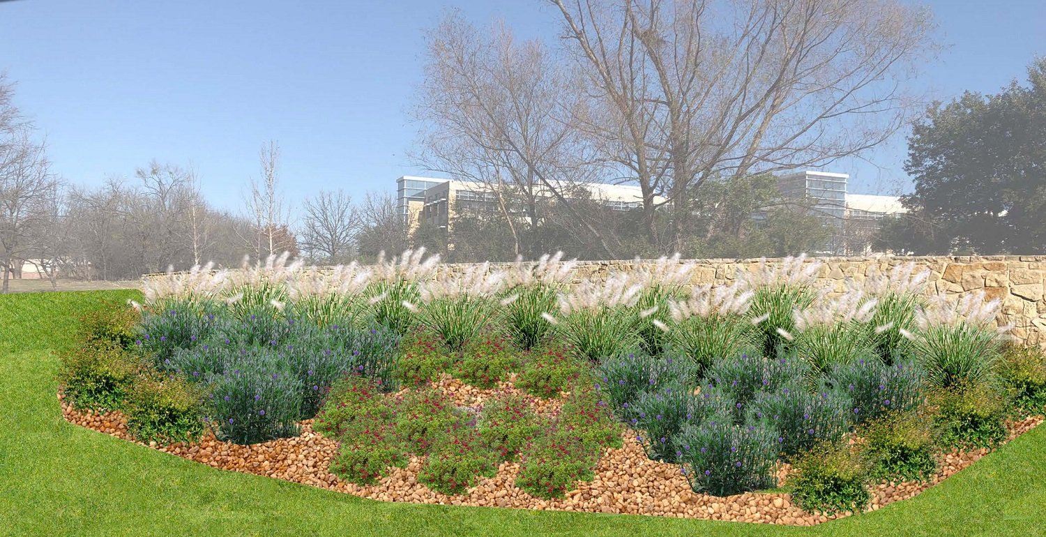 drought tolerant plants for landscape in Dallas