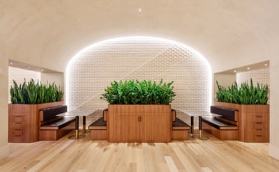 potted plants in lobby. Example of interior landscaping.