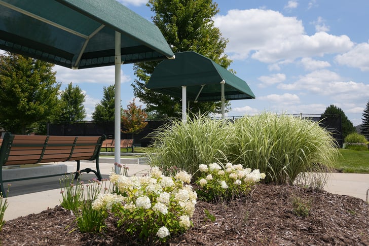 Freshly spread mulch in a landscaped garden bed, enhancing soil moisture retention