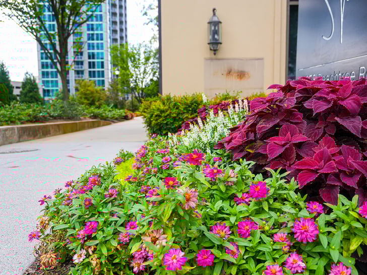 Landscape Design for Hotels | Yellowstone Landscape
