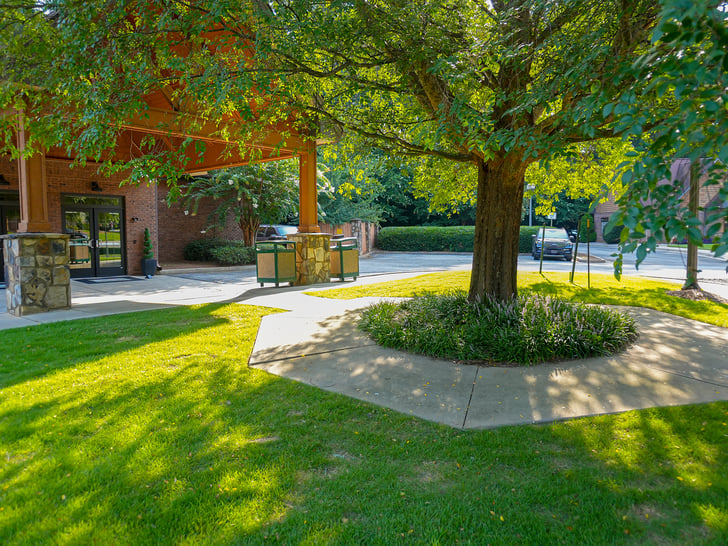 Tree landscaping providing shade in park