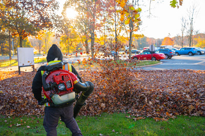 Leaf Clean-Up | Commercial Landscaping Solutions 