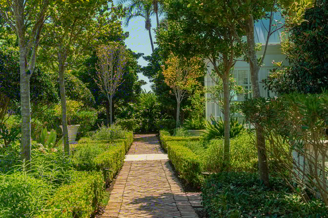 Shrubs & Trees along path, landscaping with trees