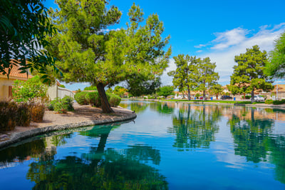 Community Pond Maintenance Services Yellowstone Landscape 