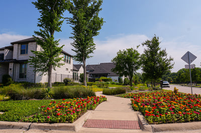 Bright Flowers in HOA Community | Professional Landscaping Services Yellowstone Landscape