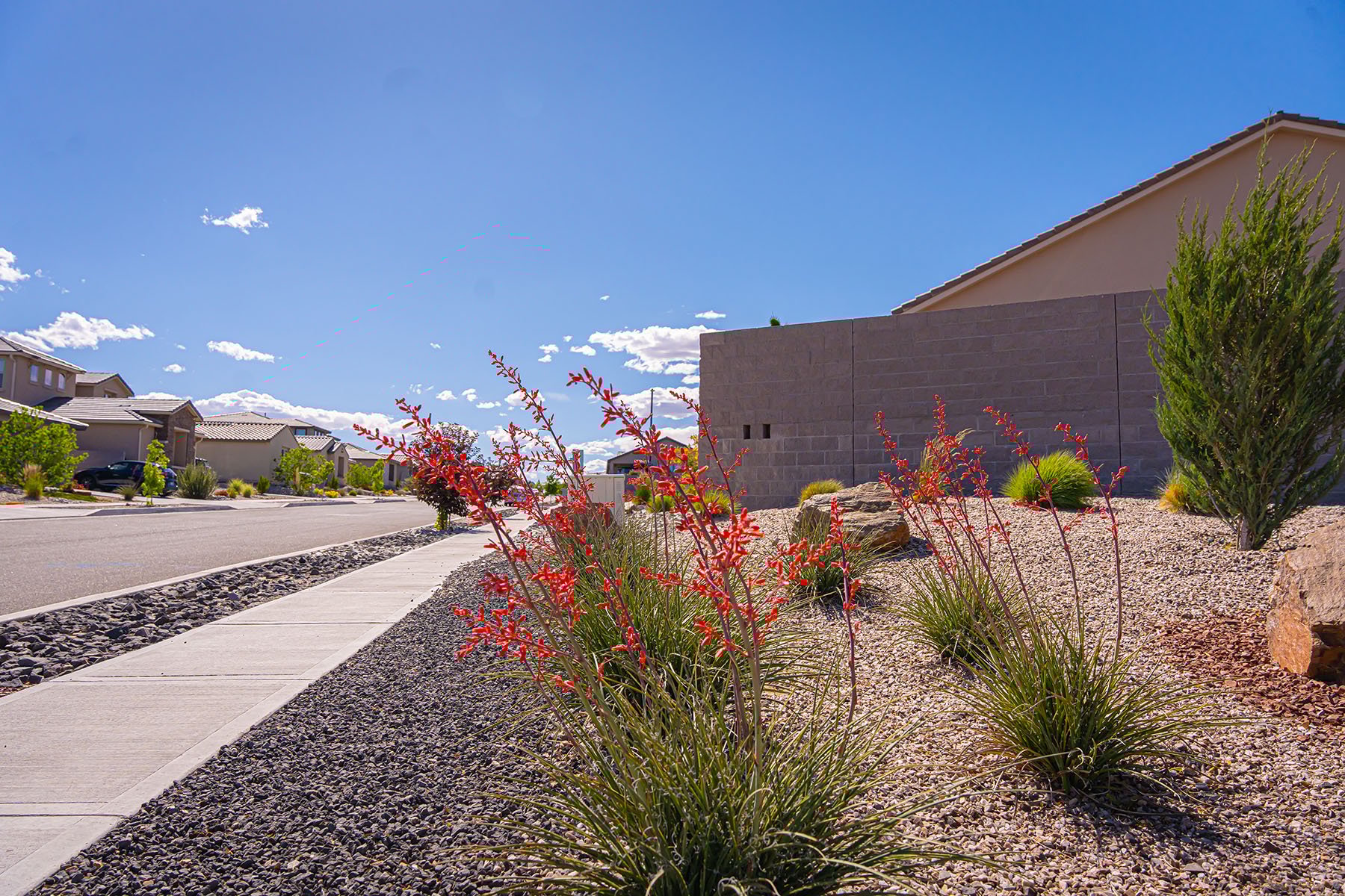 pink flowering bush in rock bed example of landscaping in Los Lunas, NM | Yellowstone Landcape