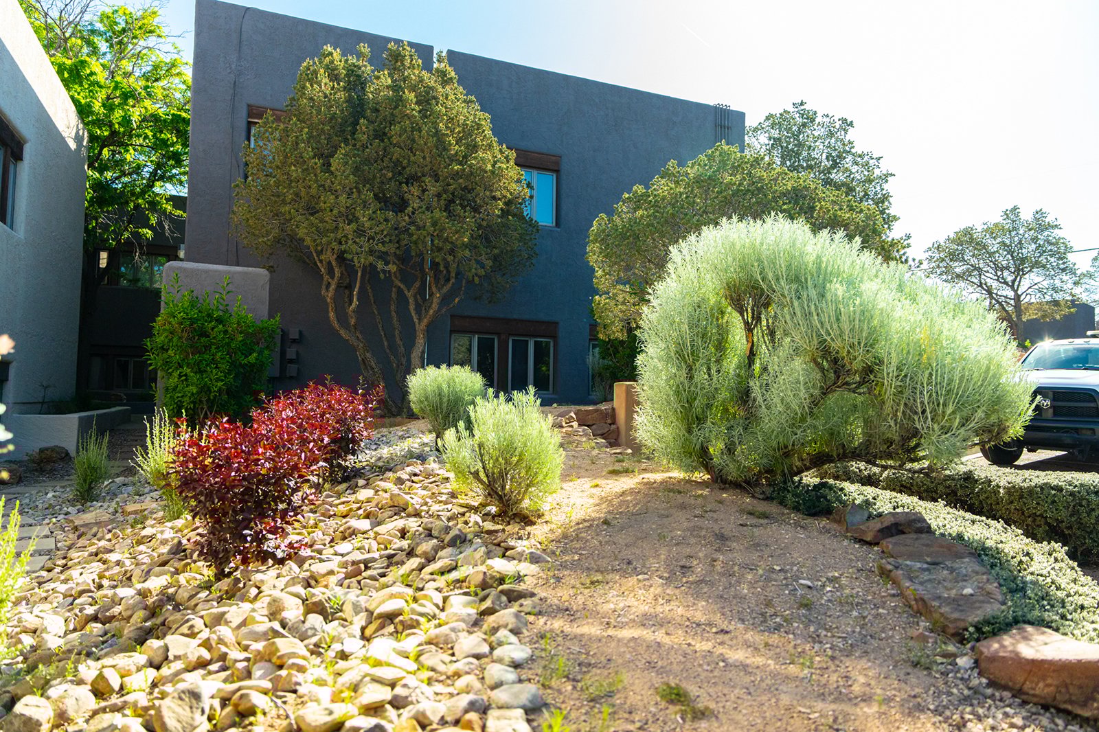 Rocks, cactus and native plants in New Mexico 