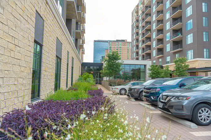multi-color landscape design example of professional landscaping for parking lots 