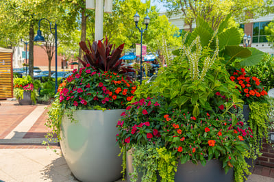 Lazy River in Hotel Resort 