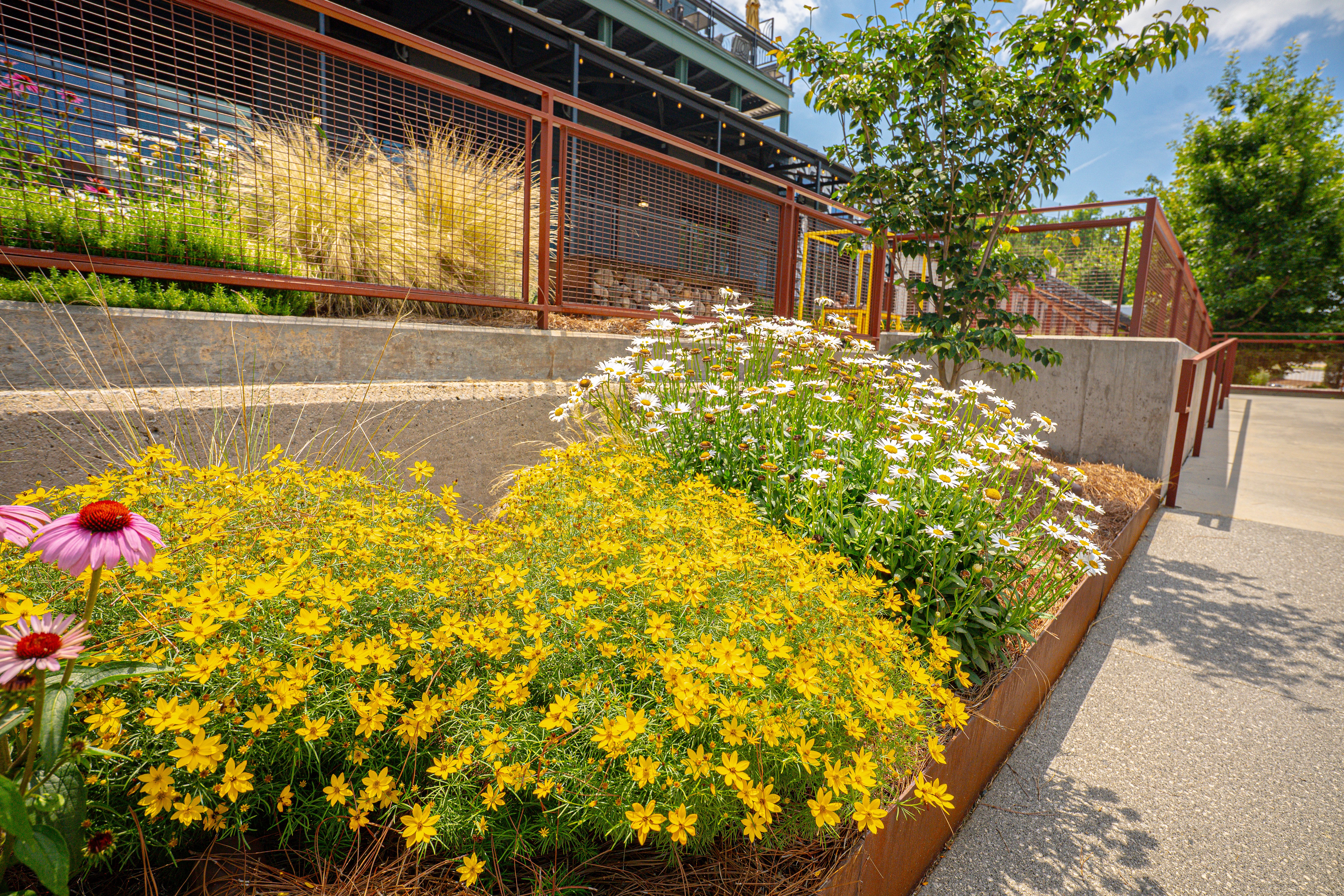 smyrna ga landscaping design services