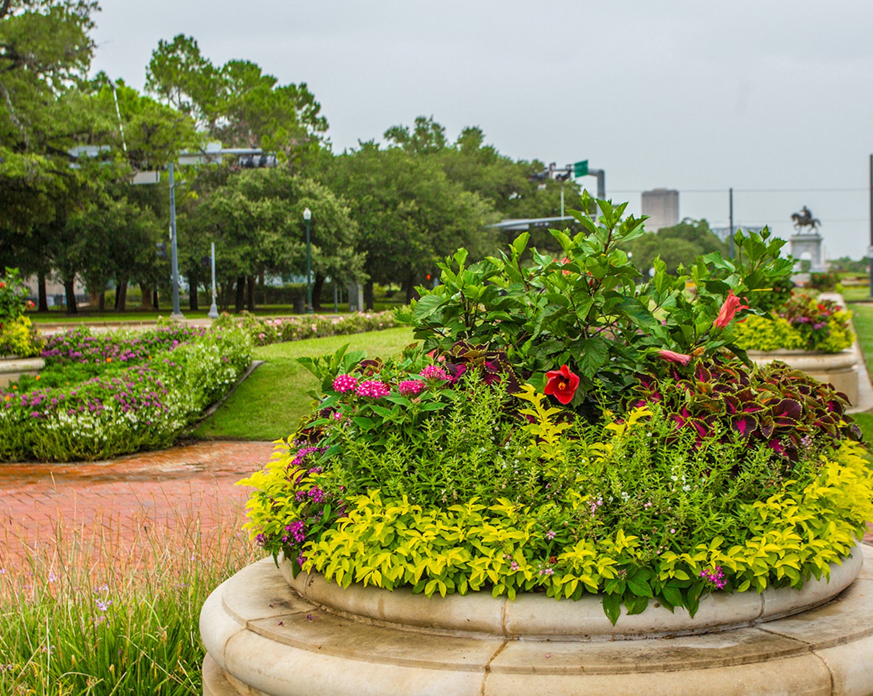 commercial landscaping in park