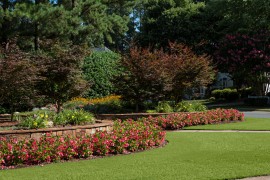 The_Peninsula_11