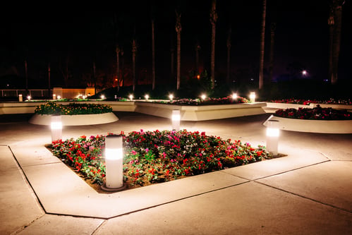 Keep landscape lighting clear of obstructions