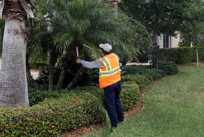 landscape maintenance on HOA property