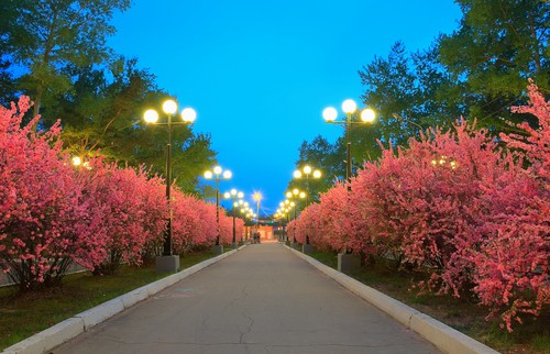 b2ap3_large_Yellowsone_Landscape_Lightin_20170403-193627_1