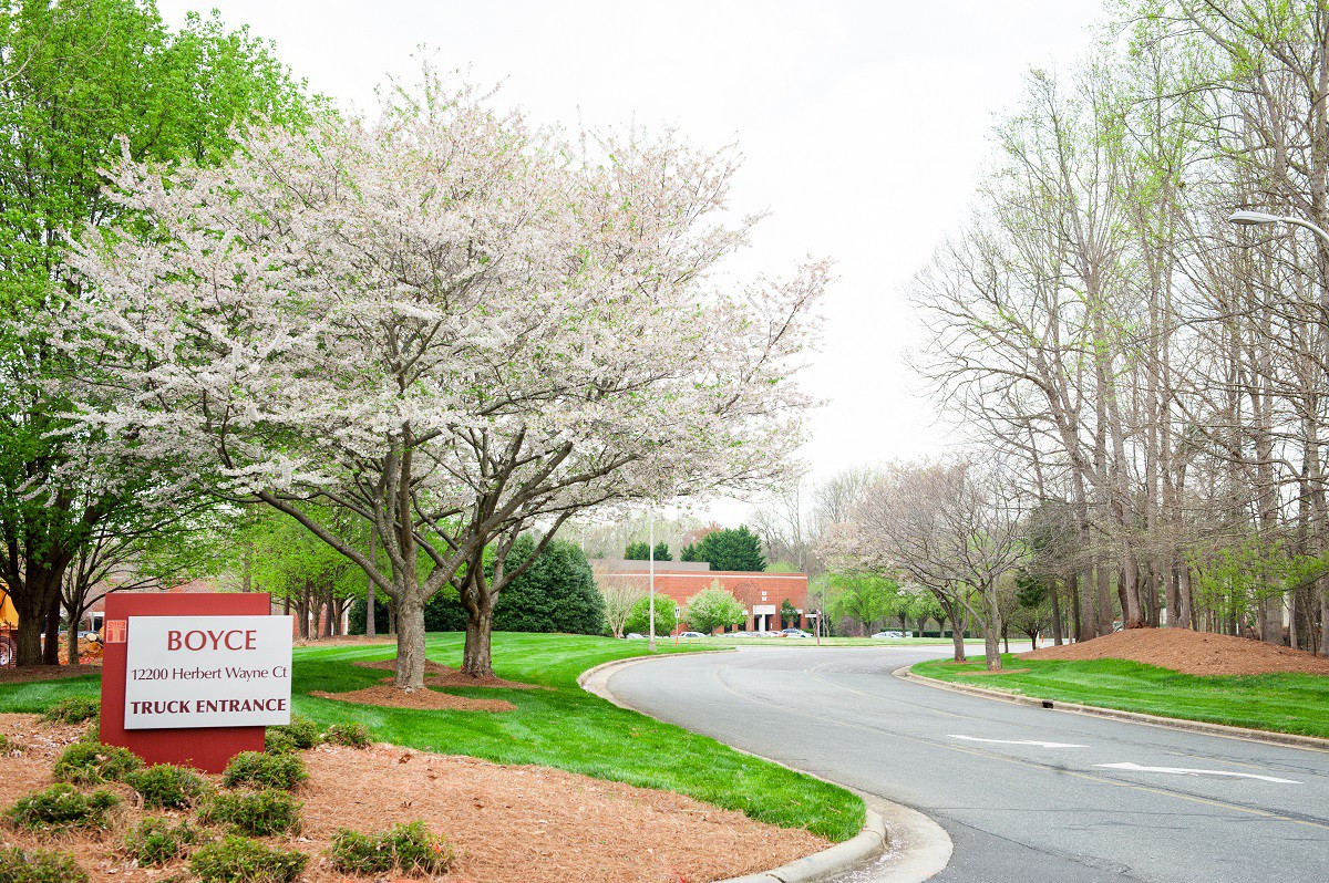 Commercial entrance with clean landscaping