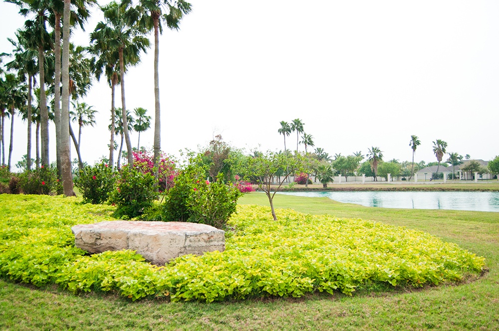 example of hoa landscaping