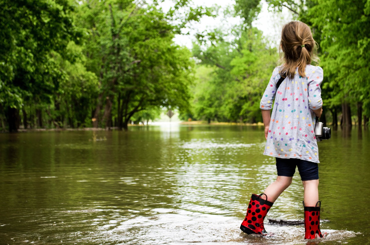 effects of flooding on plants