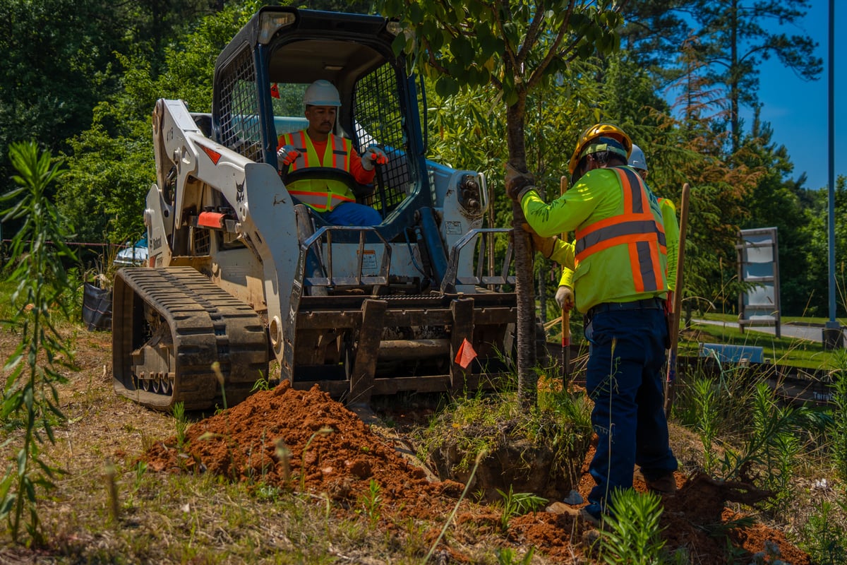 Commercial landscape planting crew plants tree