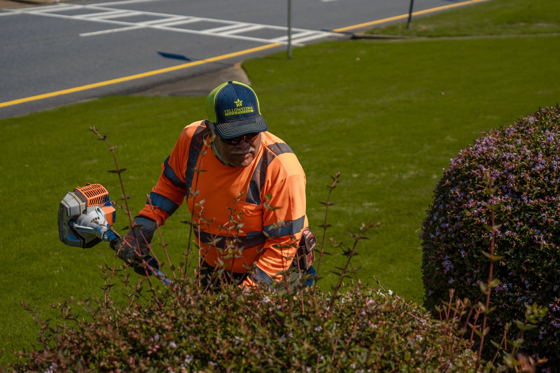 Lawn care technician pruning shrubs