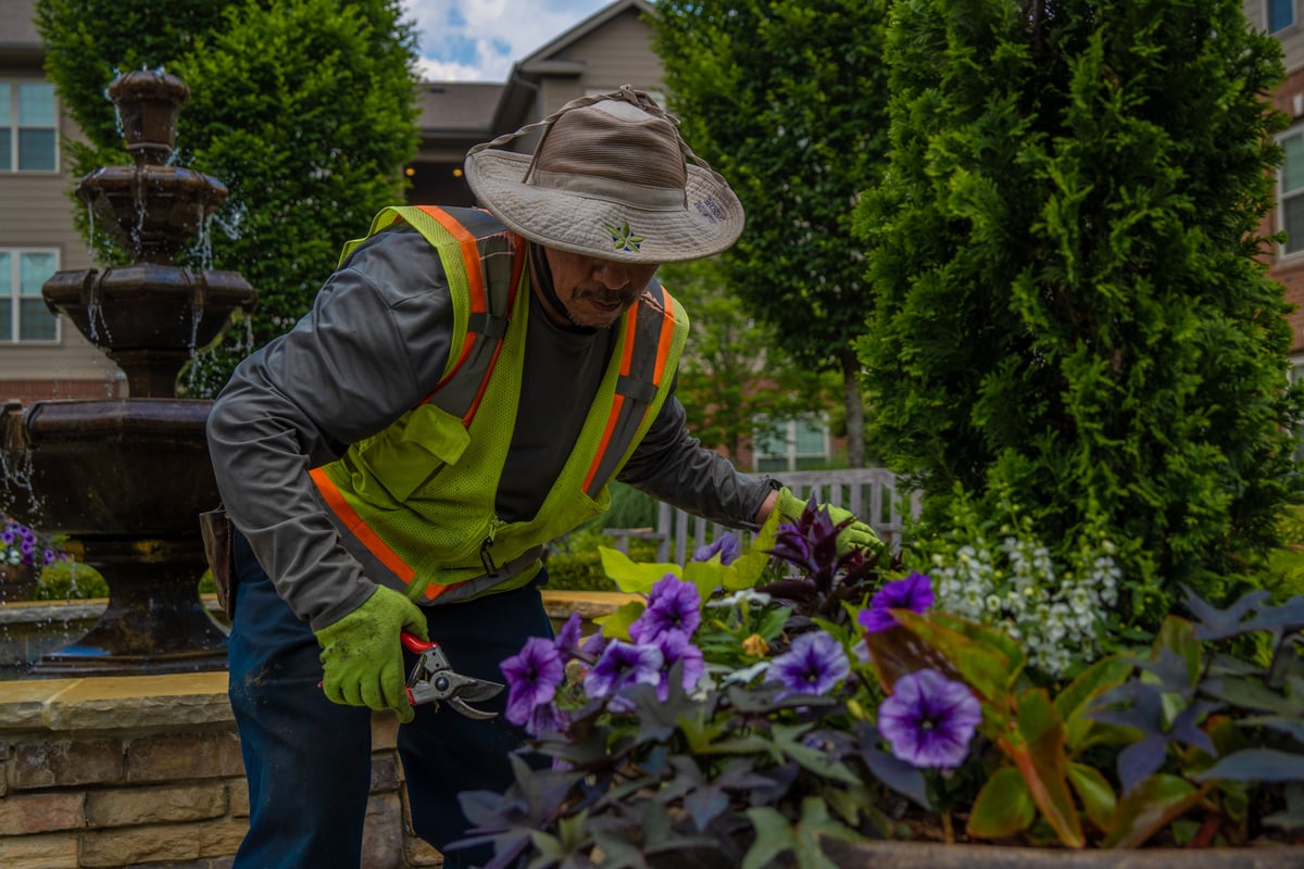 commercial landscaping maintenance team deadheading flowers