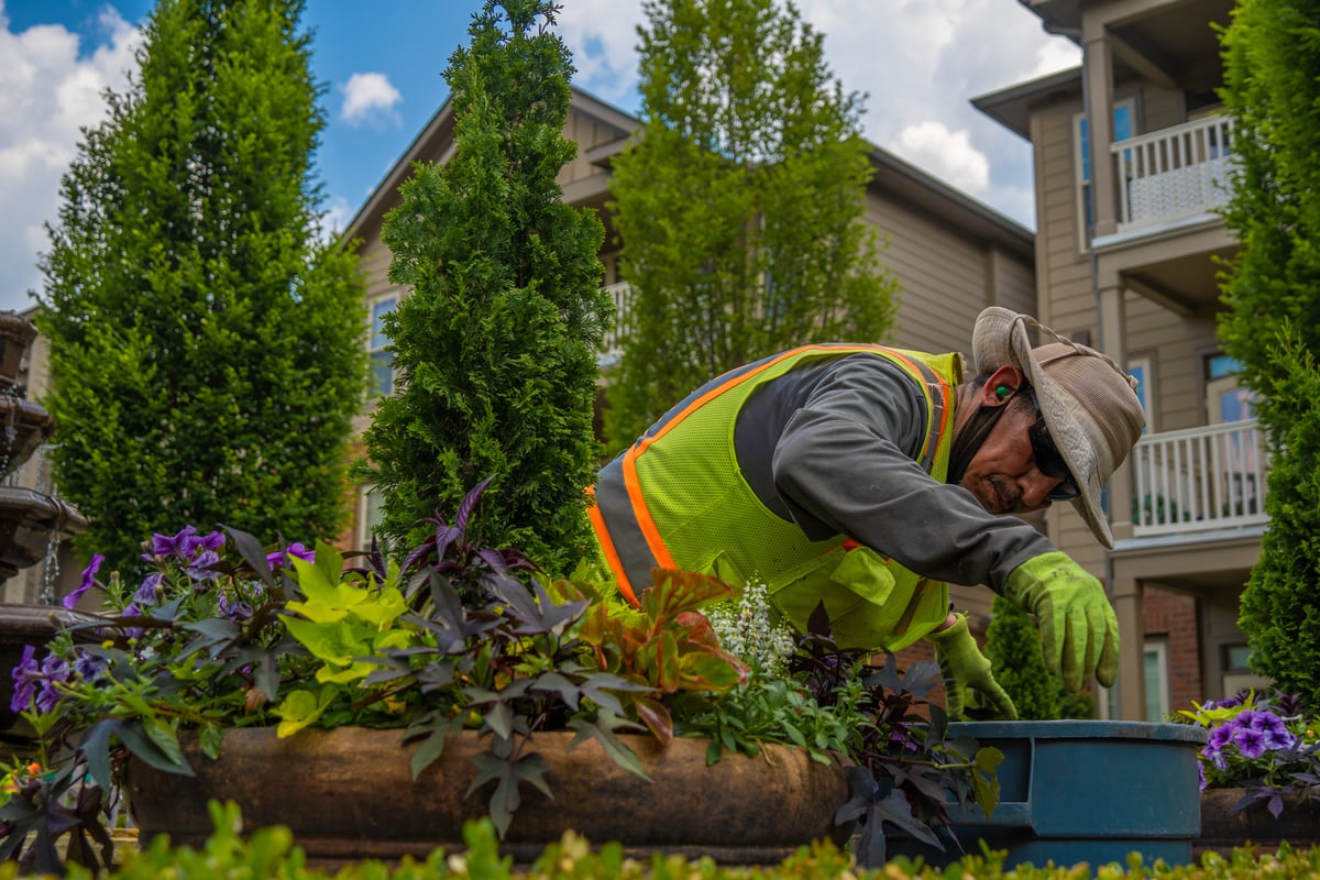 Commercial landscaper maintain container gardens