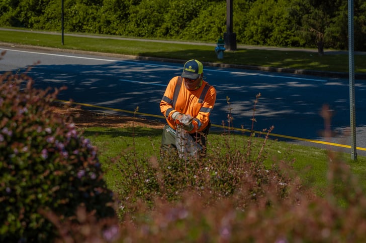 Commercial landscaping crew trash pick up clean up