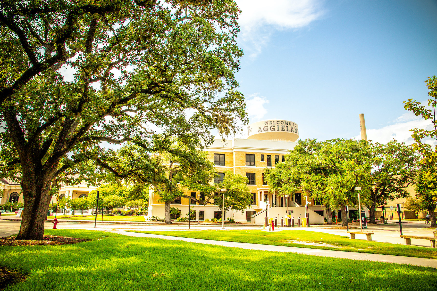 university landscape with landscaping services in Florida