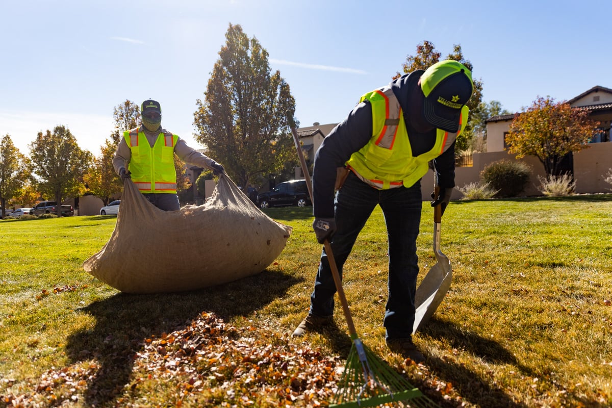 Commercial maintenance raking leaves