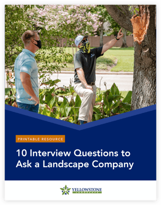 10 questions printable