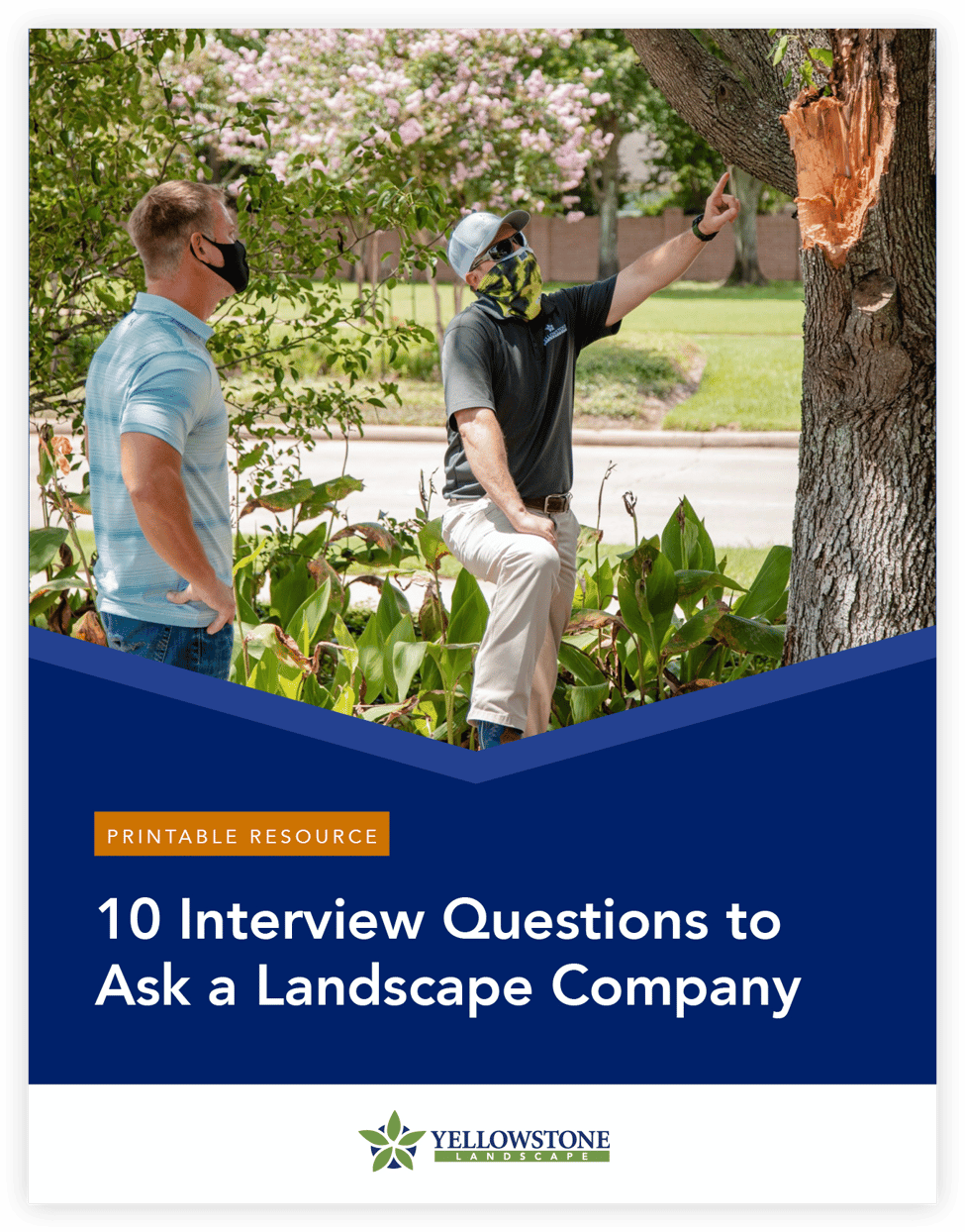 10 Interview Questions to Ask a Landscape Company | Yellowstone Landscape