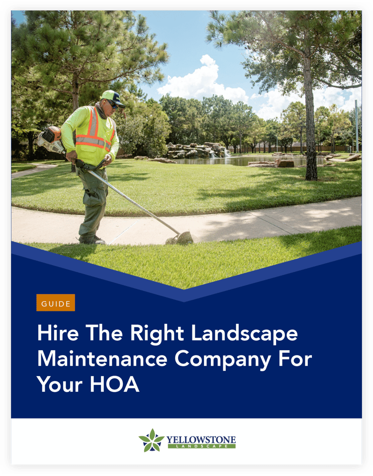 Photo inspiration: Picture Idea: Hoa Hiring Guide
