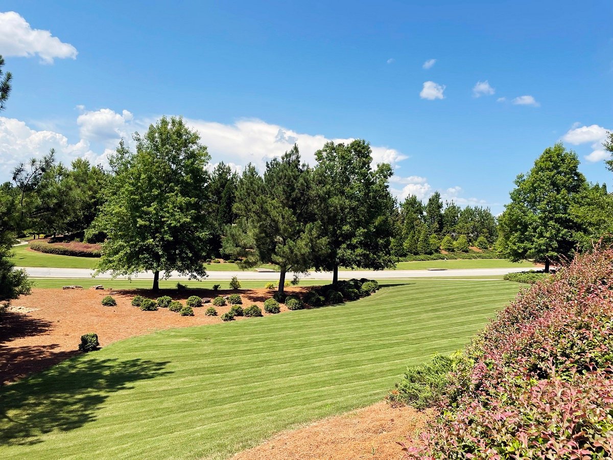 Del Webb at Lake Oconee lane and landscape