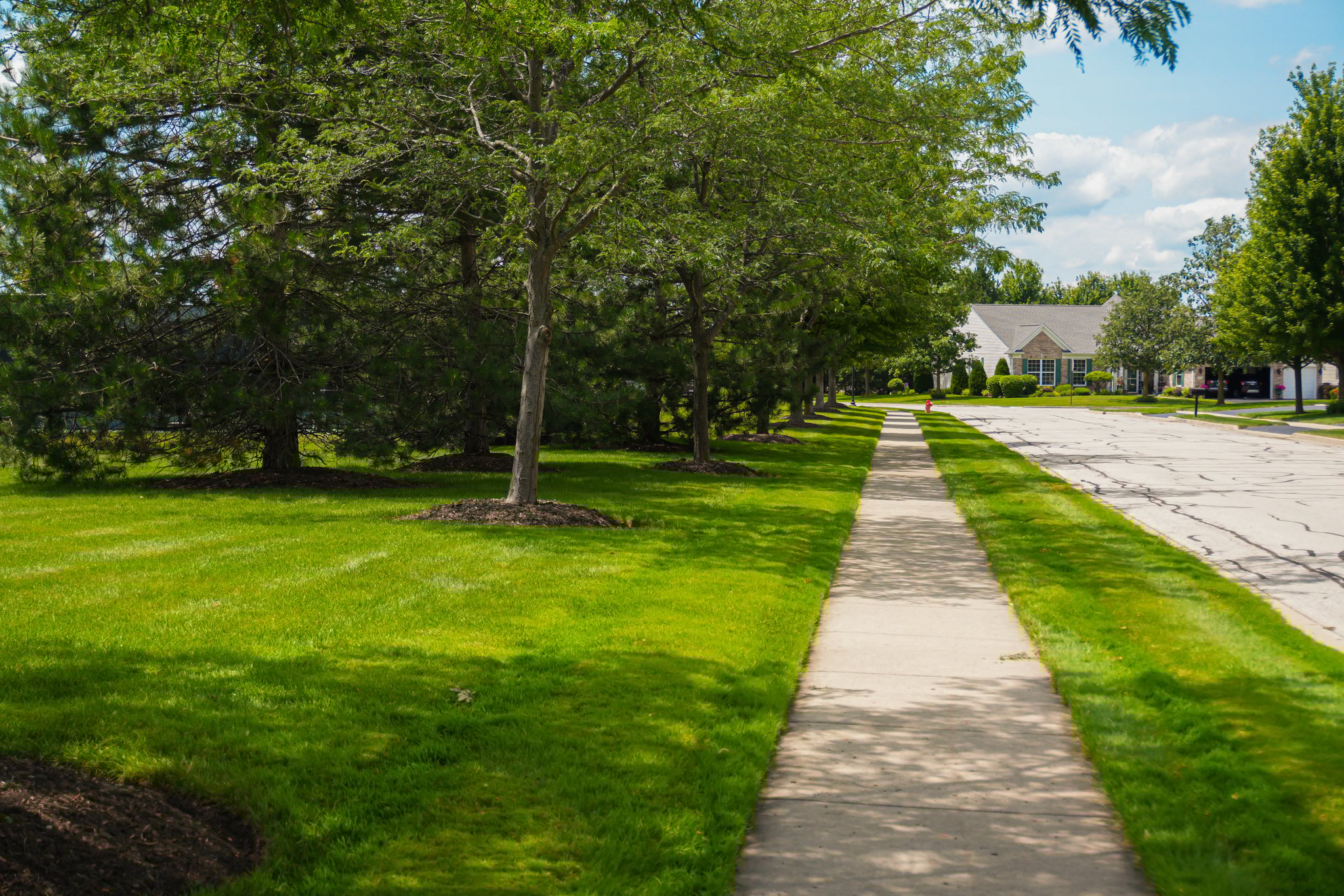 Lush green turf, mowing services in northwest indiana