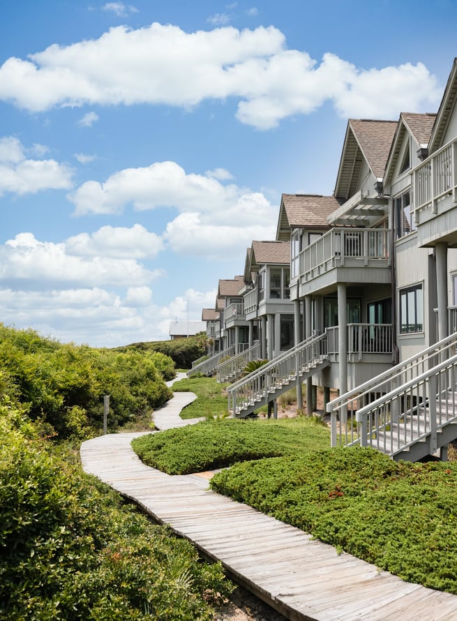 landscaping with groundcover near beach