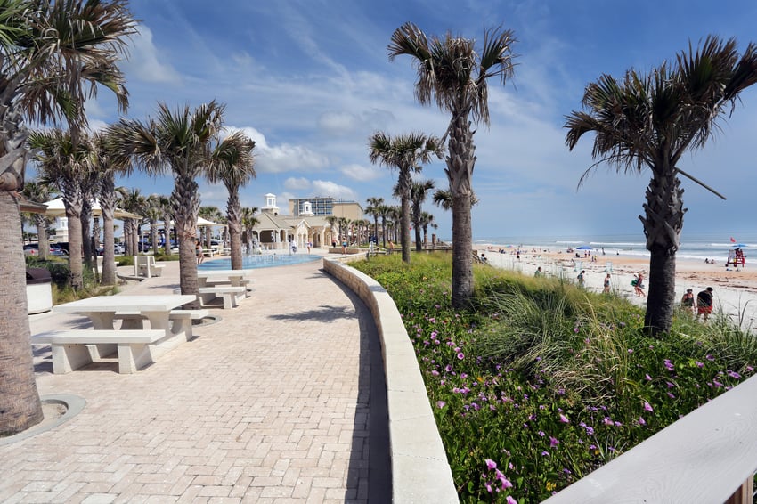 ormond-beach-fish-trees-water-maintenance-hardscape-beach-palm-tree