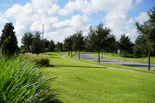 Healthy grass in commercial landscape